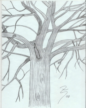 baum