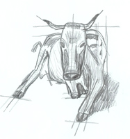 kuh