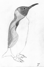 pinguin